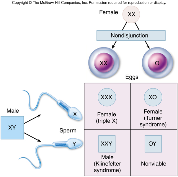 Alteraciones Geneticas Y Cromosomicas Pdf